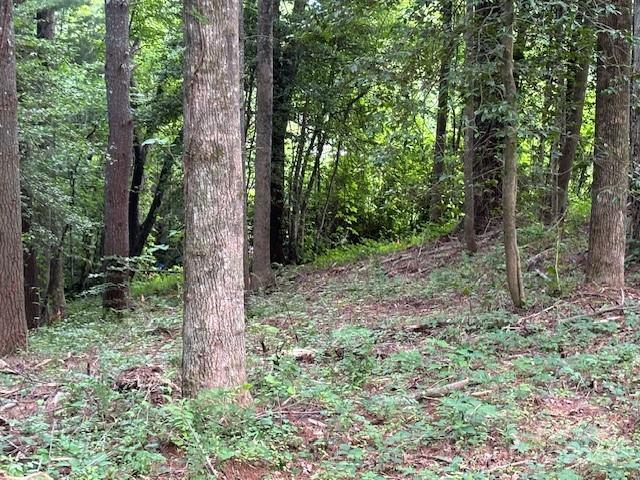 39 Acorn Ln, Pisgah Forest, NC 28768