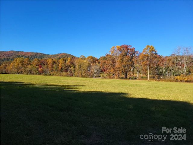 Listing photo 2 for 4 Harlow And Cricket Dr, Balsam Grove NC 28708