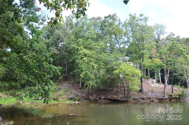 4208 Arbors Ford Ct Unit 72, Belmont, NC 28012 - photo 5