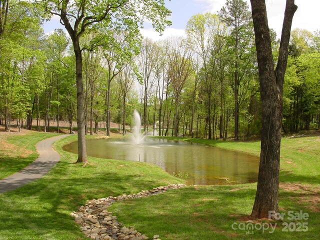 4208 Arbors Ford Ct Unit 72, Belmont, NC 28012 - photo 13