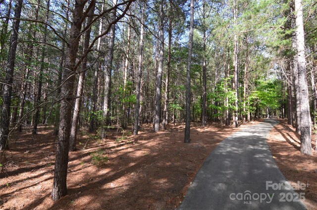 4208 Arbors Ford Ct Unit 72, Belmont, NC 28012 - photo 38