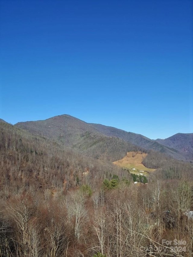 Listing photo 2 for 0 Soco Rd, Maggie Valley NC 28751