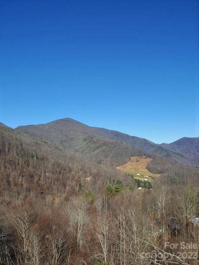 Listing photo 2 for 0 Soco Rd, Maggie Valley NC 28751