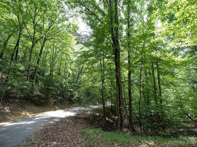 Listing photo 2 for 00 Grouse Ridge Rd Unit 1, Waynesville NC 28786