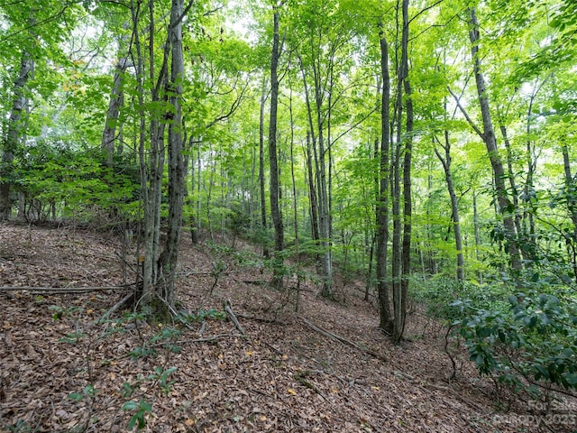 Listing photo 2 for 00 Grouse Ridge Rd Unit 2, Waynesville NC 28786