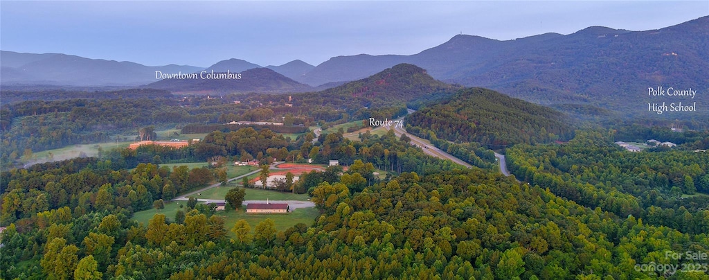 0 Fox Mountain Rd Unit 1, Columbus, NC 28722 - photo 3