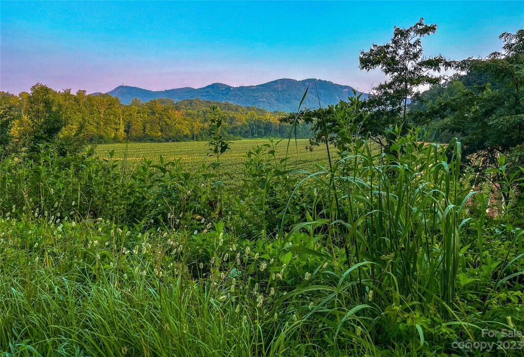 0 Fox Mountain Rd Unit 1, Columbus, NC 28722 - photo 4