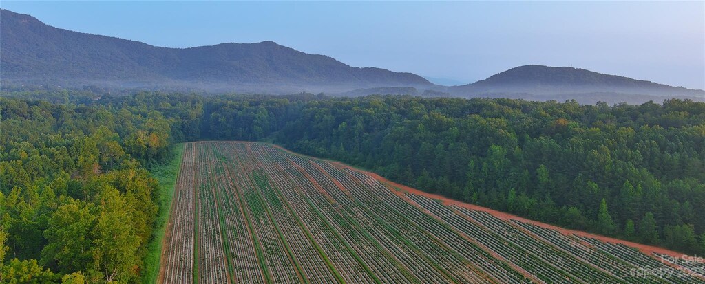 0 Fox Mountain Rd Unit 2, Columbus, NC 28722 - photo 1