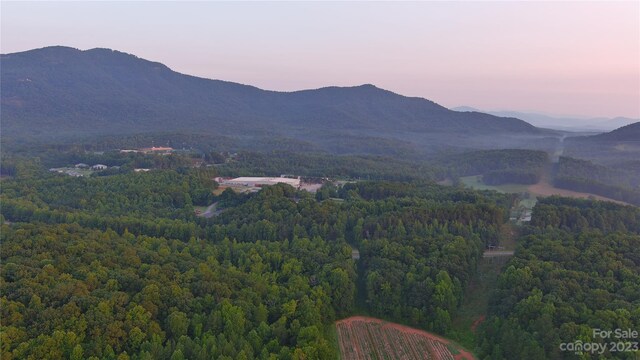 0 Fox Mountain Rd Unit 5, Columbus, NC 28722 - photo 4