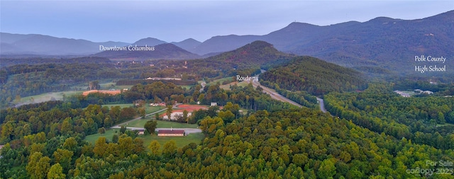 0 Fox Mountain Rd Unit 5, Columbus, NC 28722 - photo 5