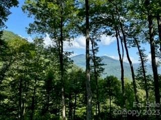 20 Tsalagi Trl, Maggie Valley NC, 28751 land for sale