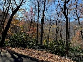 Listing photo 2 for 20 Tsalagi Trl, Maggie Valley NC 28751