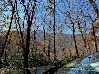 Listing photo 3 for 20 Tsalagi Trl, Maggie Valley NC 28751