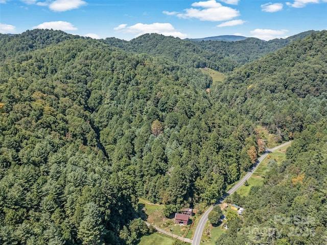 00 Brummetts Creek Rd, Green Mountain, NC 28705