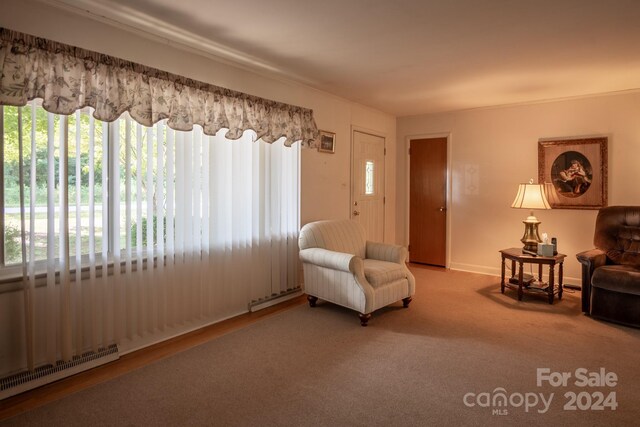 living room featuring hardwood / wood-style floors, a healthy amount of sunlight, and a baseboard radiator