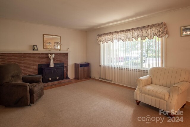 living room with a fireplace and a wood stove