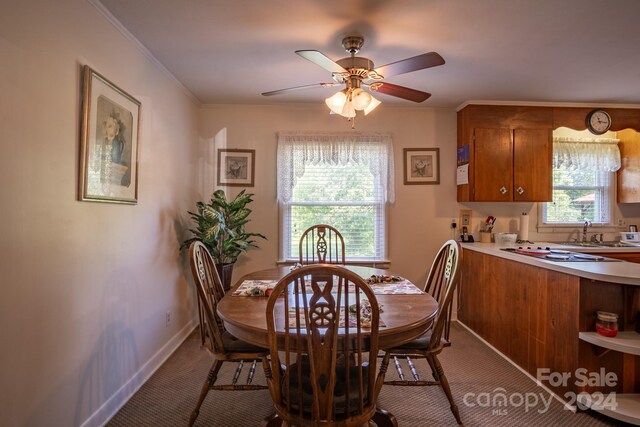 carpeted dining space with ceiling fan and sink