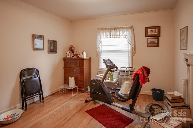 exercise room featuring crown molding and light wood-type flooring