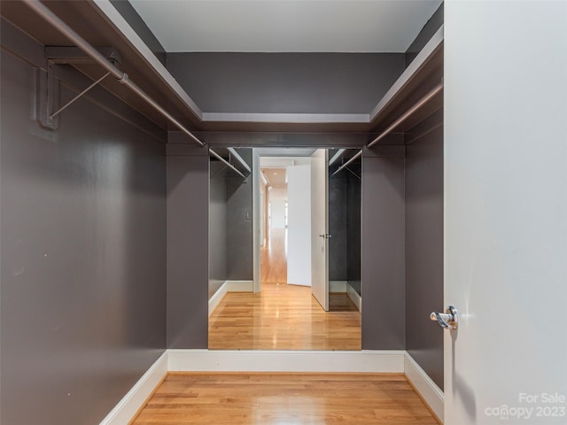 walk in closet with light hardwood / wood-style flooring