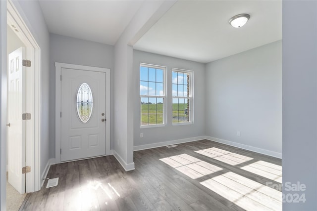 entryway featuring wood-type flooring