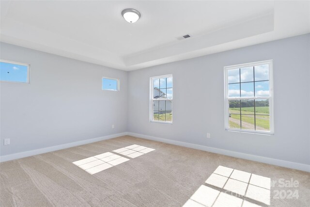 carpeted spare room with plenty of natural light and a tray ceiling