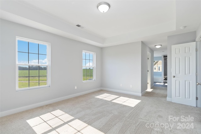 spare room featuring light colored carpet