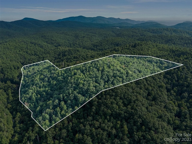 drone / aerial view featuring a mountain view