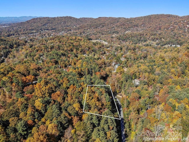 Listing photo 3 for 78 Woodland Aster Way Unit 69, Asheville NC 28804