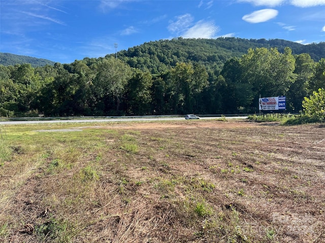 Listing photo 3 for 0 US-70 Hwy, Swannanoa NC 28778