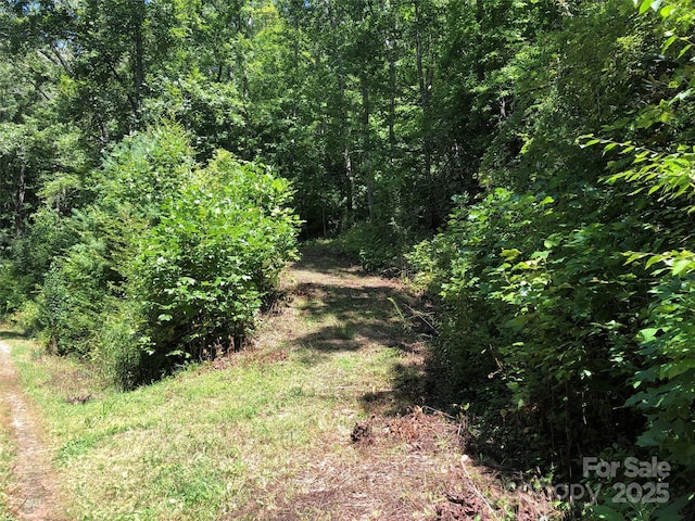 155 Erwin Ln, Waynesville, NC 28785 - photo 6