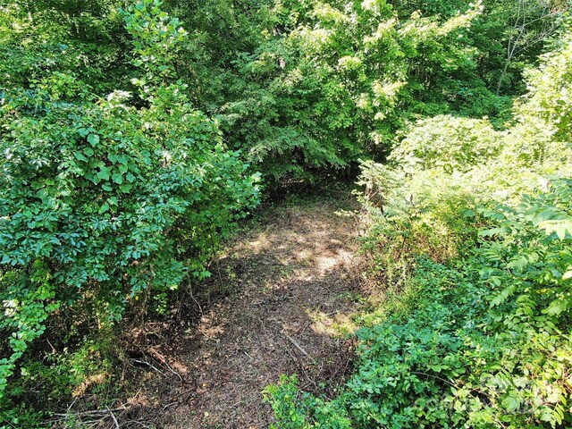 155 Erwin Ln, Waynesville, NC 28785 - photo 7