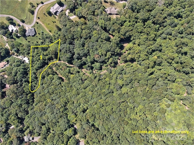 155 Erwin Ln, Waynesville, NC 28785 - photo 8