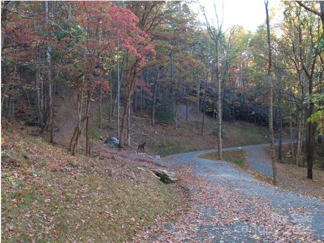 155 Erwin Ln, Waynesville, NC 28785 - photo 12