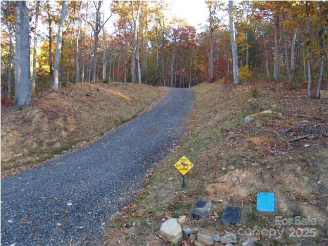 155 Erwin Ln, Waynesville, NC 28785 - photo 13