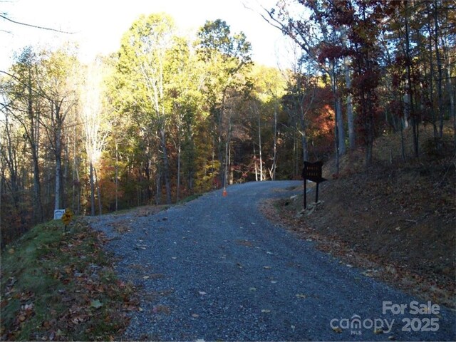 155 Erwin Ln, Waynesville, NC 28785 - photo 14