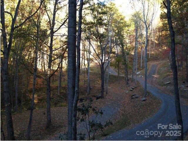 155 Erwin Ln, Waynesville, NC 28785 - photo 15