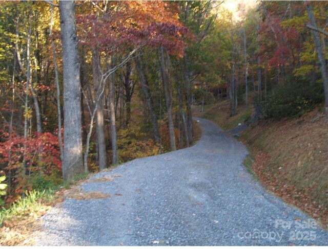 155 Erwin Ln, Waynesville, NC 28785 - photo 16