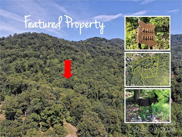 220 Erwin Ln, Waynesville NC, 28785 land for sale