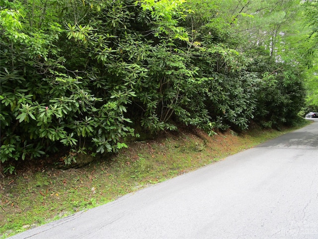 Listing photo 3 for TBD Indian Lake Rd Unit 31, Lake Toxaway NC 28747