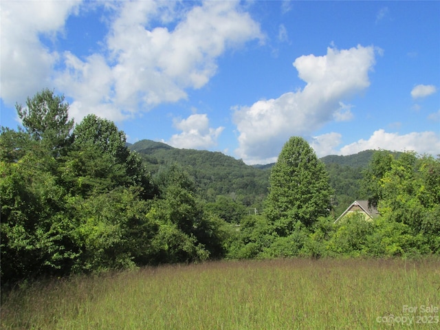 100 Speedwell Acres Rd, Cullowhee NC, 28723 land for sale