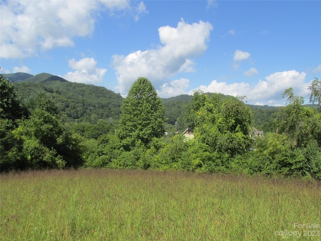 Listing photo 3 for 100 Speedwell Acres Rd, Cullowhee NC 28723