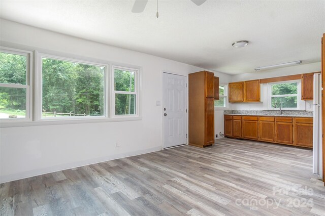 kitchen featuring ceiling fan, sink, and light hardwood / wood-style floors