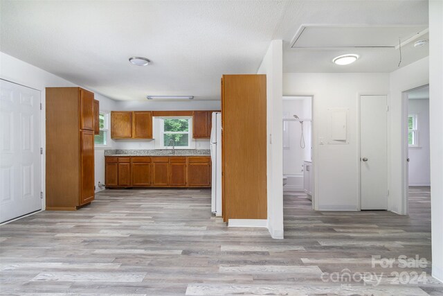 kitchen with sink, light hardwood / wood-style flooring, and white refrigerator