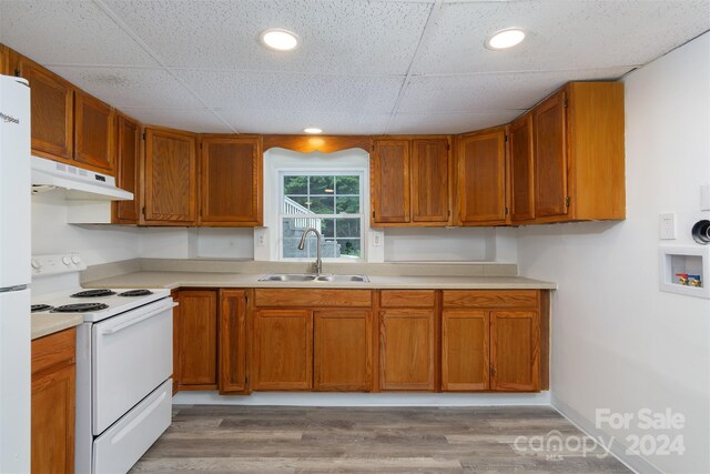 kitchen with white range with electric cooktop, a paneled ceiling, sink, and light hardwood / wood-style flooring