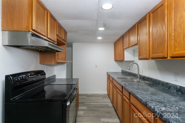 kitchen featuring a paneled ceiling, sink, light hardwood / wood-style flooring, and black range with electric cooktop