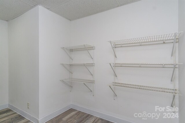 spacious closet featuring a drop ceiling and dark wood-type flooring