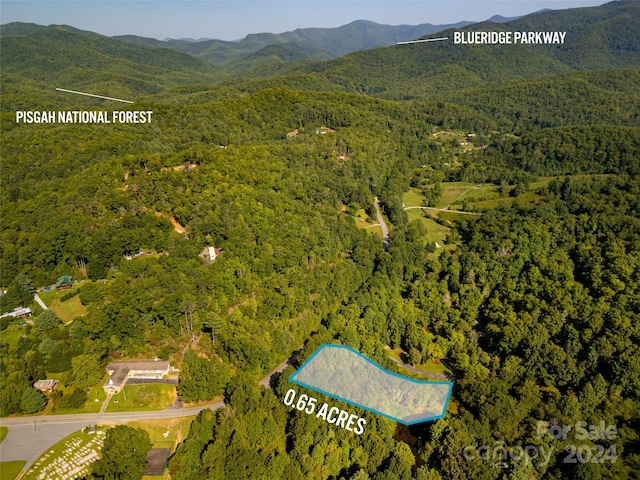 L3 Sweetwater Ridge Rd, Balsam Grove, NC 28708 - photo 1