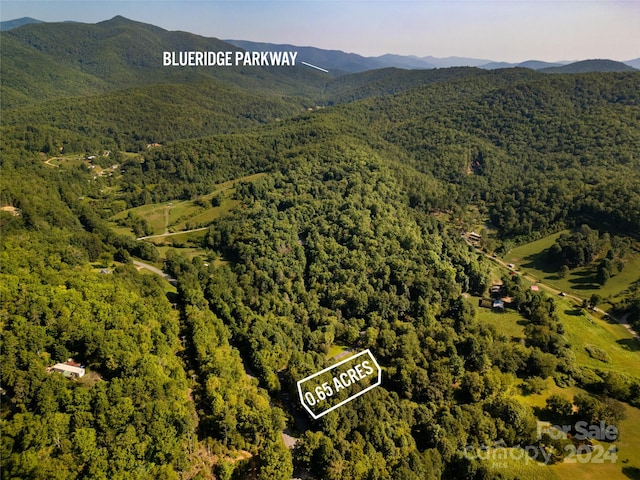 L3 Sweetwater Ridge Rd, Balsam Grove, NC 28708 - photo 2
