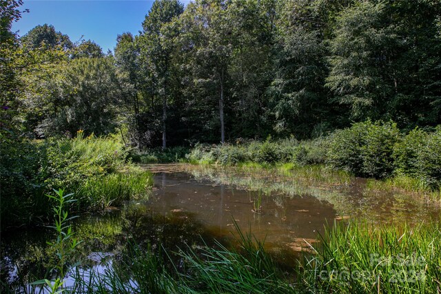 L3 Sweetwater Ridge Rd, Balsam Grove, NC 28708 - photo 4