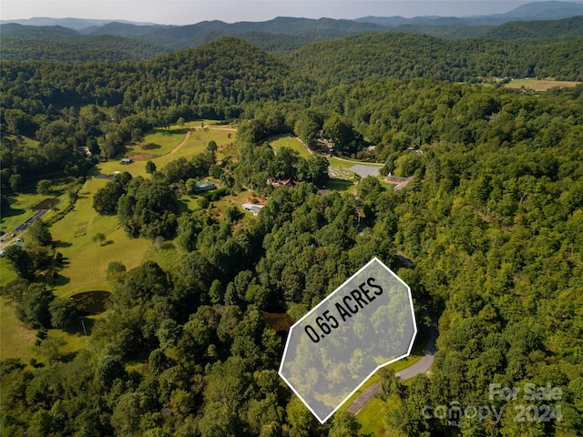 L3 Sweetwater Ridge Rd, Balsam Grove, NC 28708 - photo 5